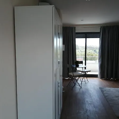 Homestay szállás Quinta Da Lousa - Valongo - Porto *