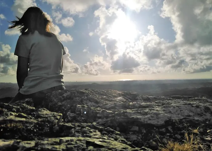 Quinta Da Lousa - Valongo - Porto Privat bolig Valongo (Porto)